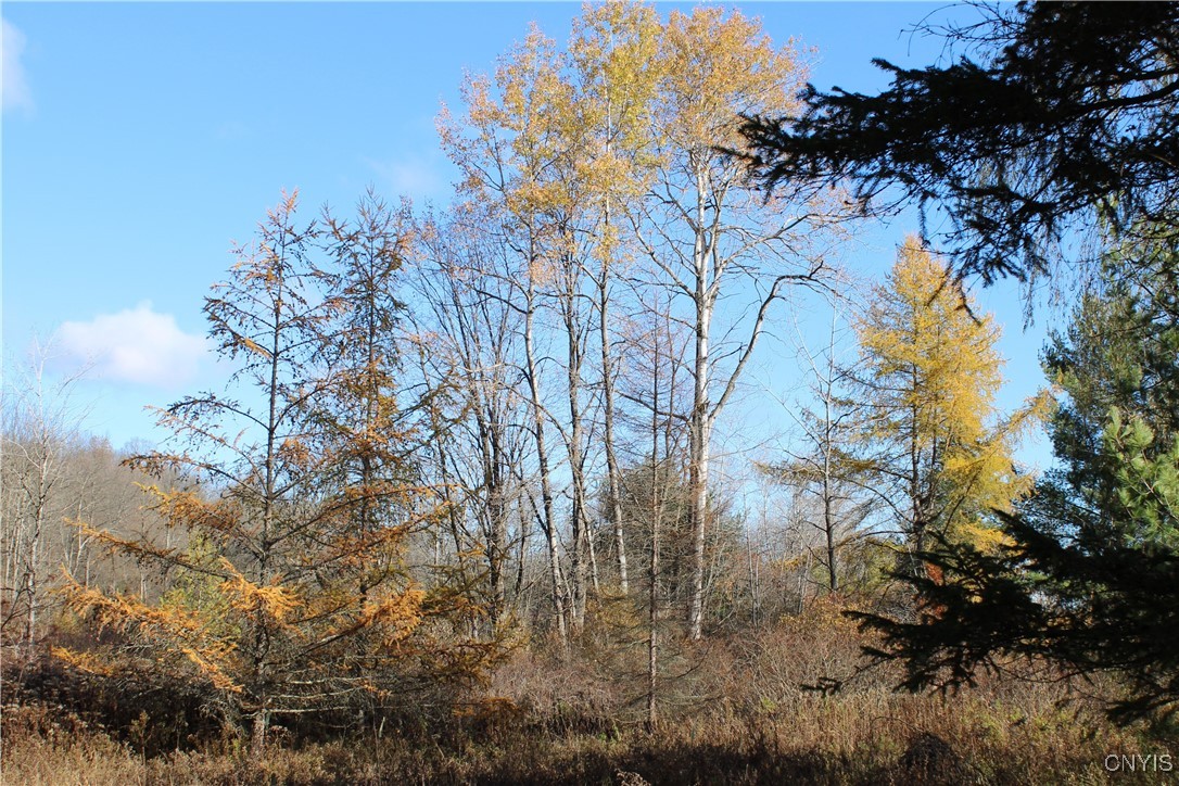 1047 Wall Street Winfield, NY 13491 - Photo 9 of 24