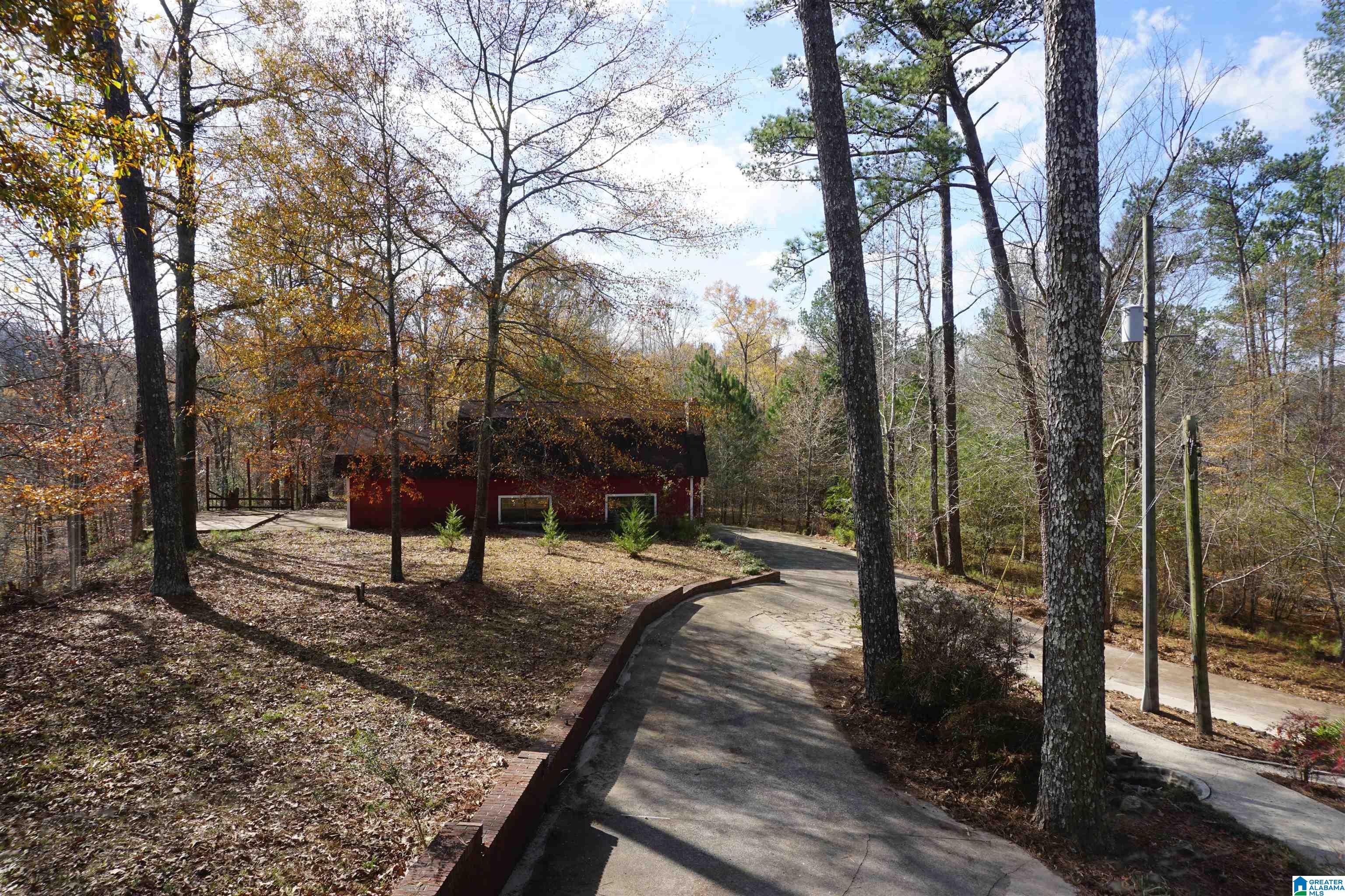 816 Pine Ridge Road Wellington, AL 36279 - Photo 34 of 71