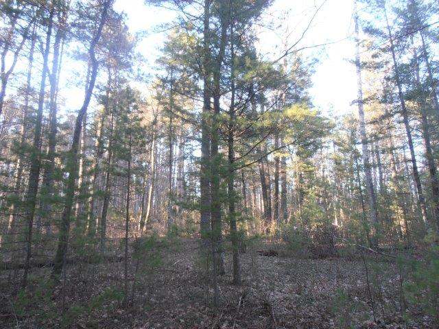 Lot 1 Sunrise Camp Road Minocqua, WI 54548 - Photo 9 of 13 Gallery Image 9