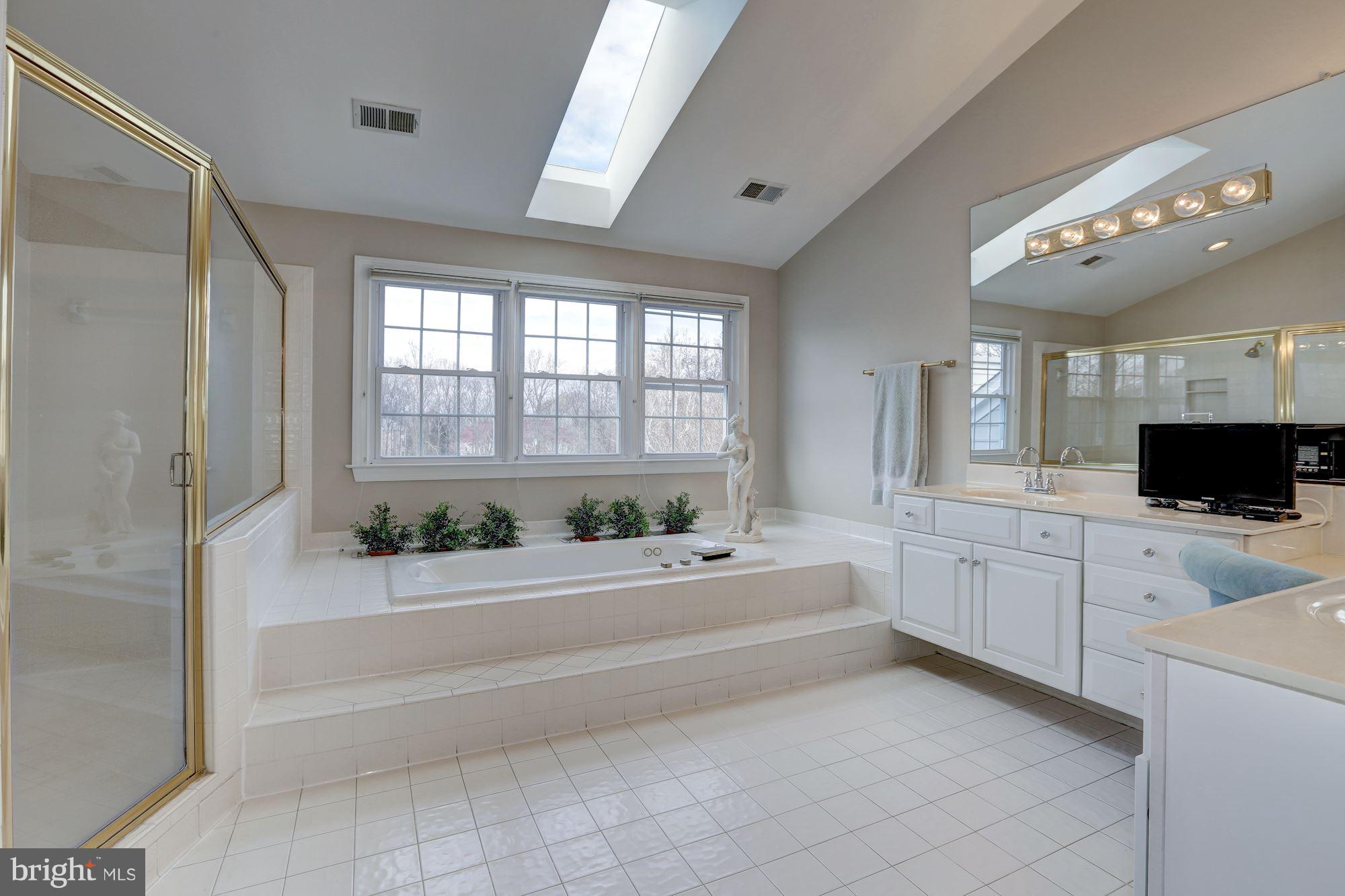 12912 Three Sisters Road Potomac, MD 20854 - Photo 19 of 30 Bath (Master)