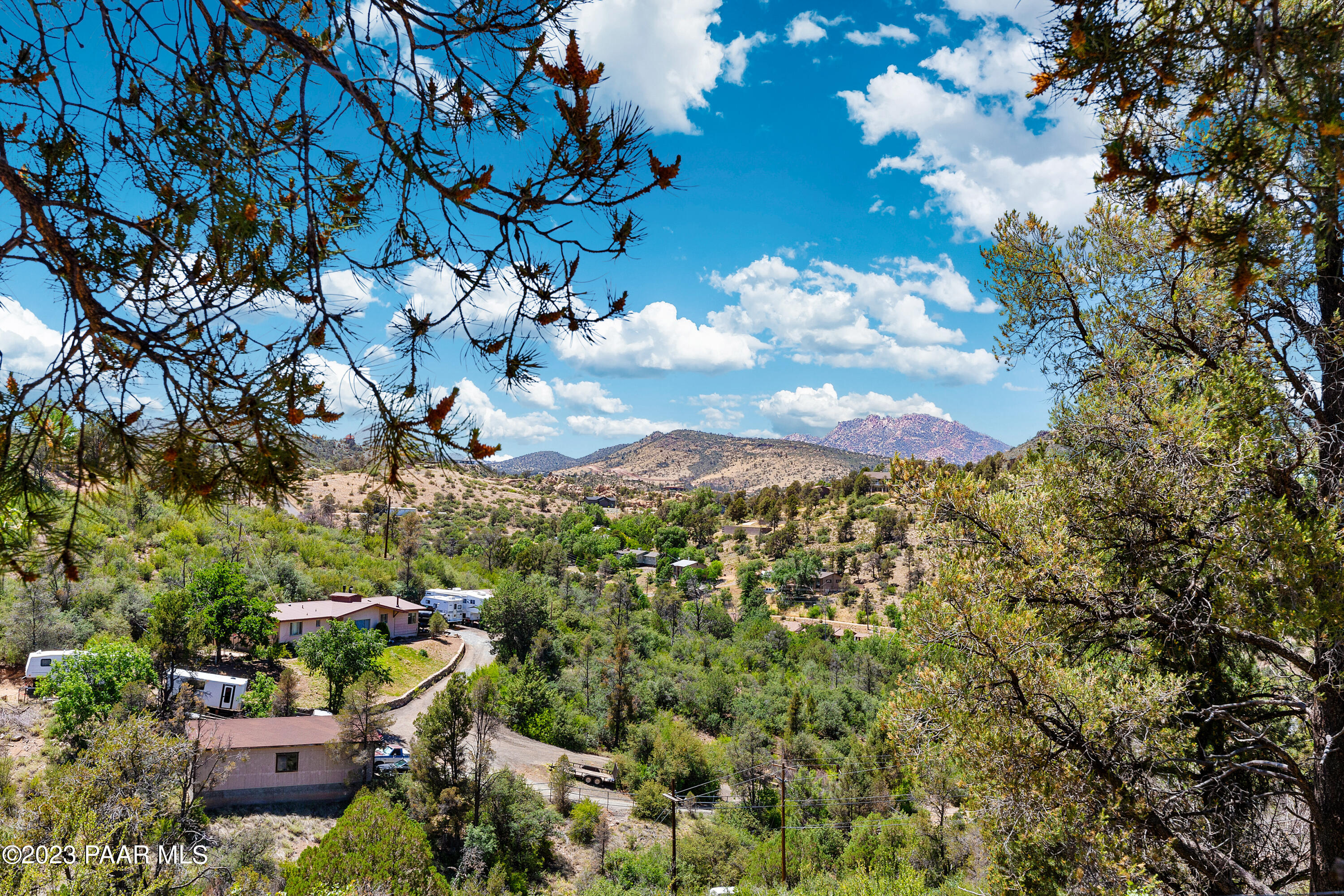 2680 Ridge Road Prescott, AZ 86301 - Photo 19 of 25 a view of a flower