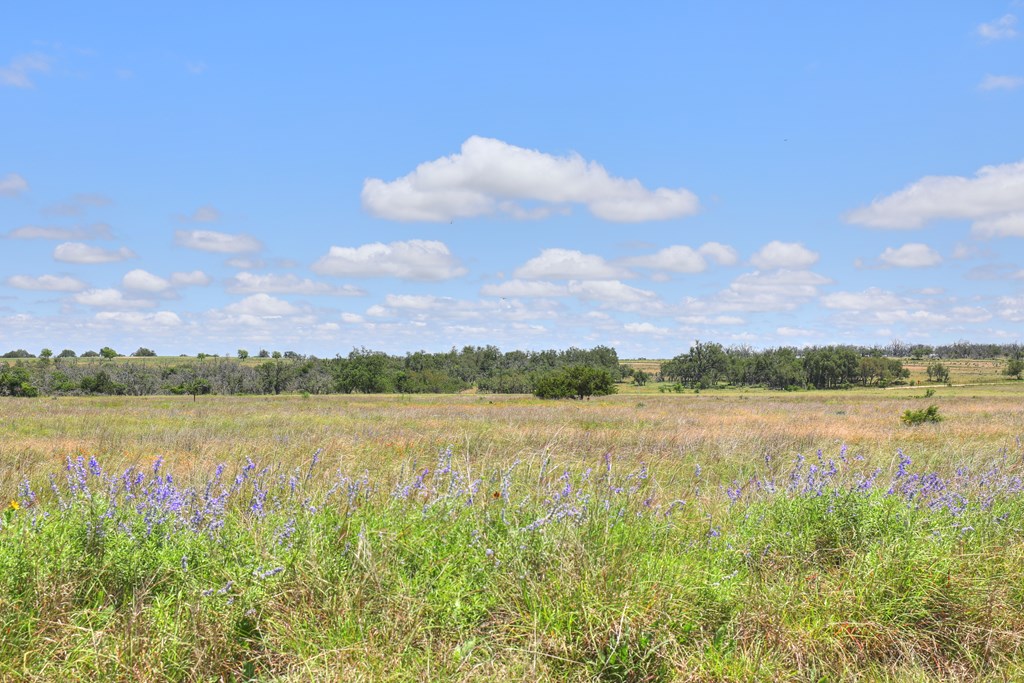 2600 Reservation Road Harper, TX 78631 - Photo 10 of 16