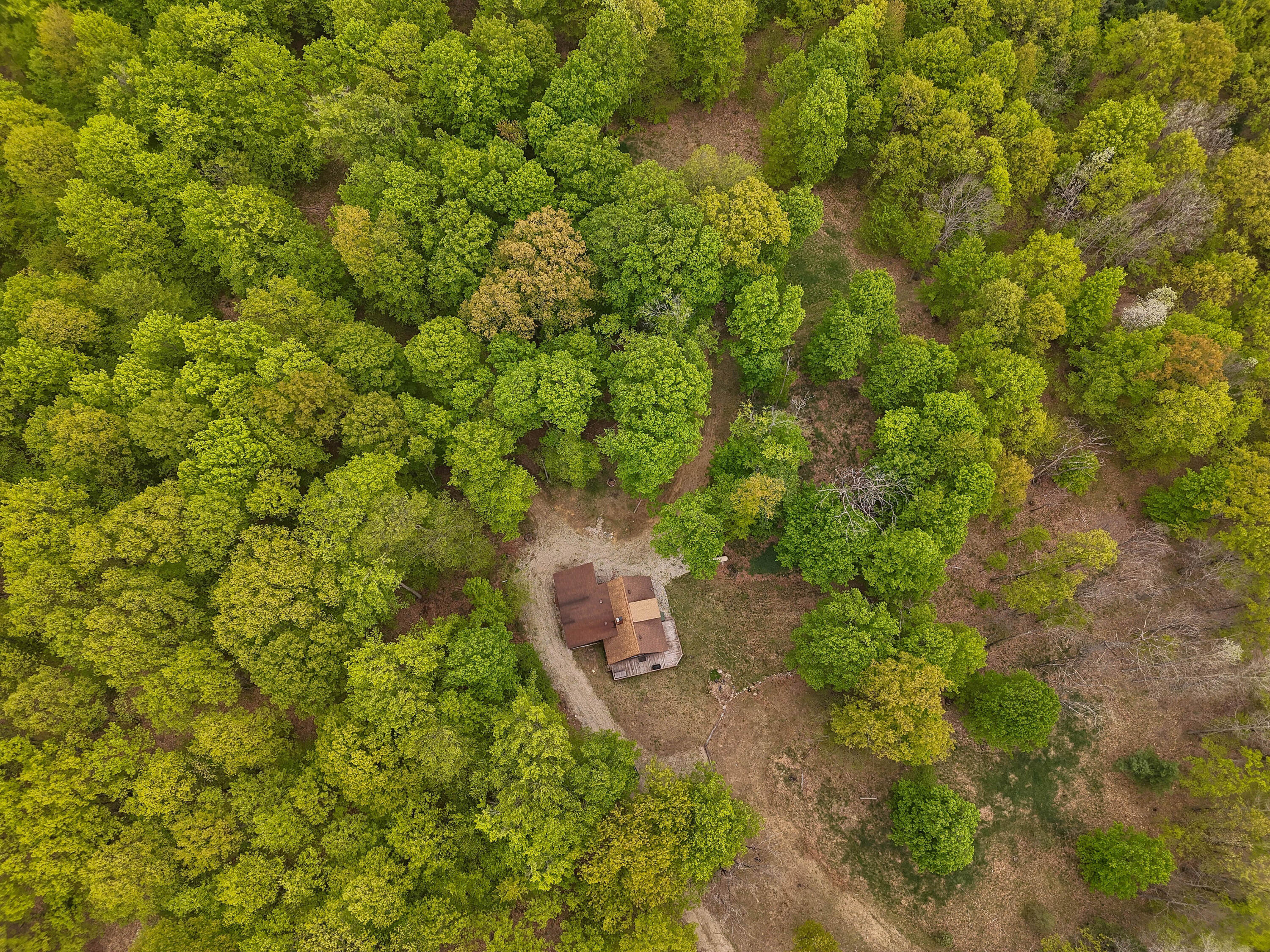 3284 North Flynn Road Luther, MI 49656 - Photo 19 of 30 DJI_20250520150531_0051_D