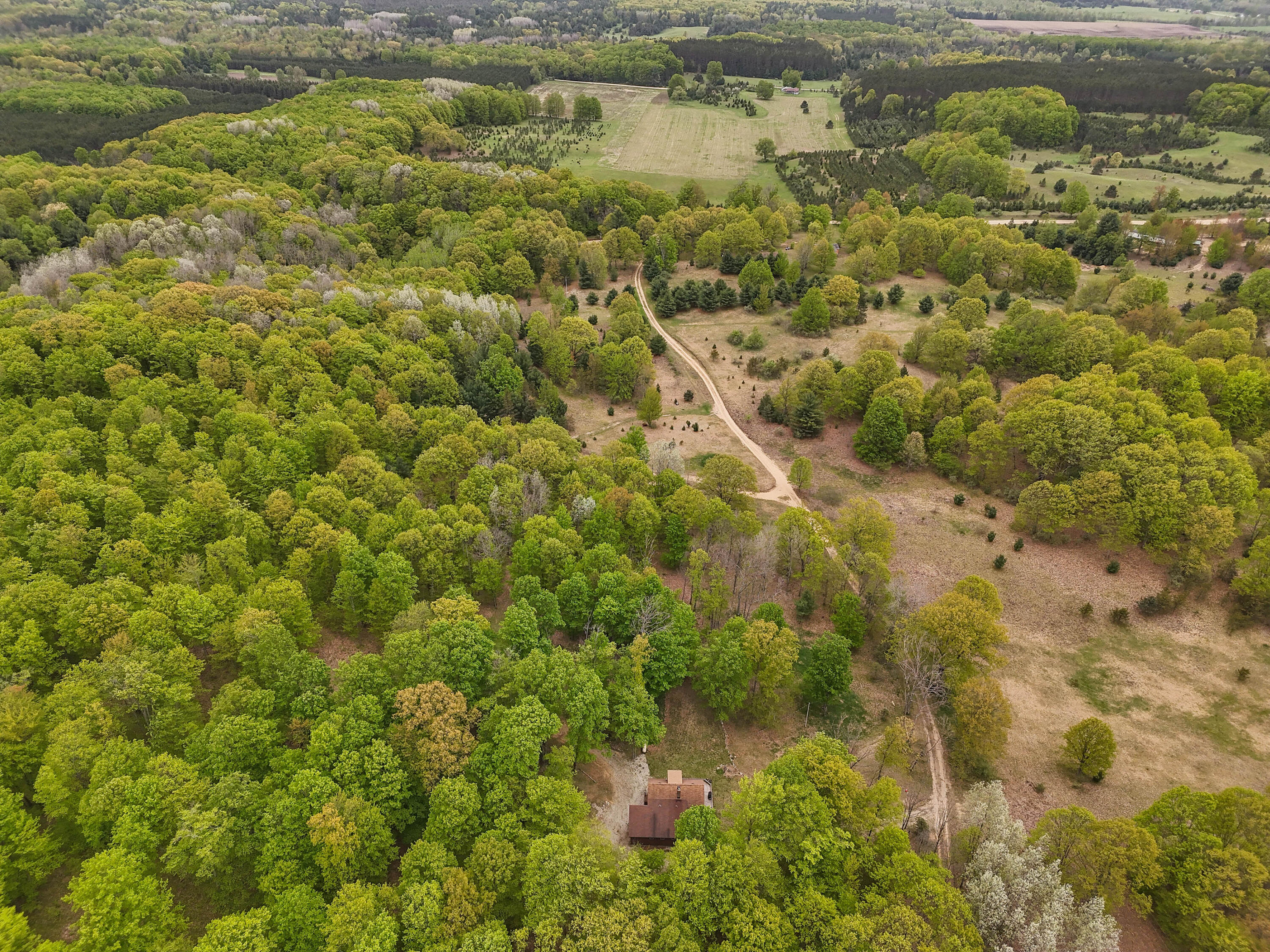 3284 North Flynn Road Luther, MI 49656 - Photo 20 of 30 DJI_20250520150550_0052_D