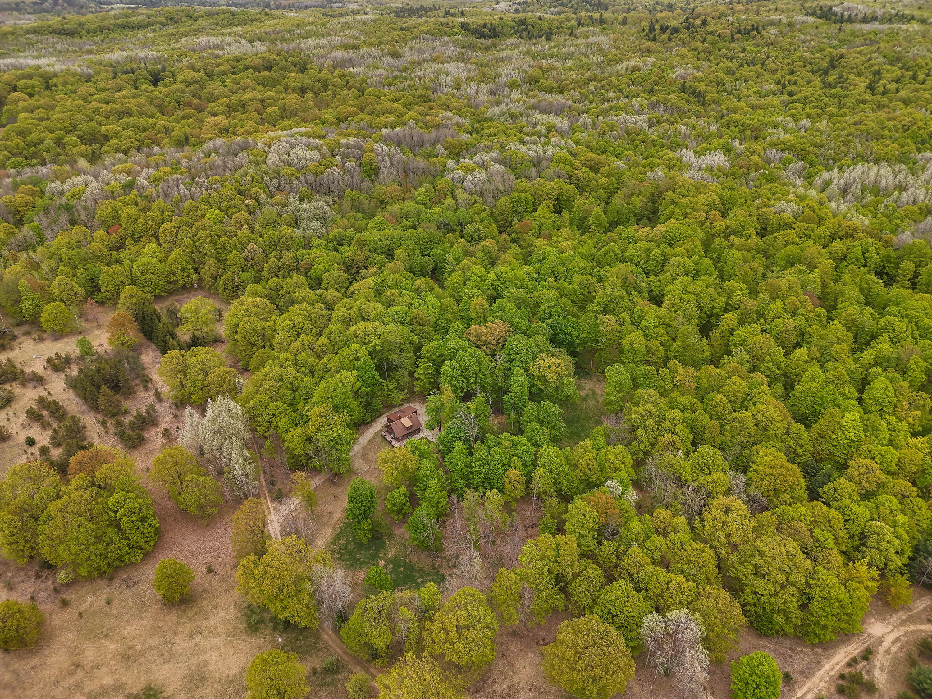3284 North Flynn Road Luther, MI 49656 - Photo 22 of 30 DJI_20250520150719_0055_D