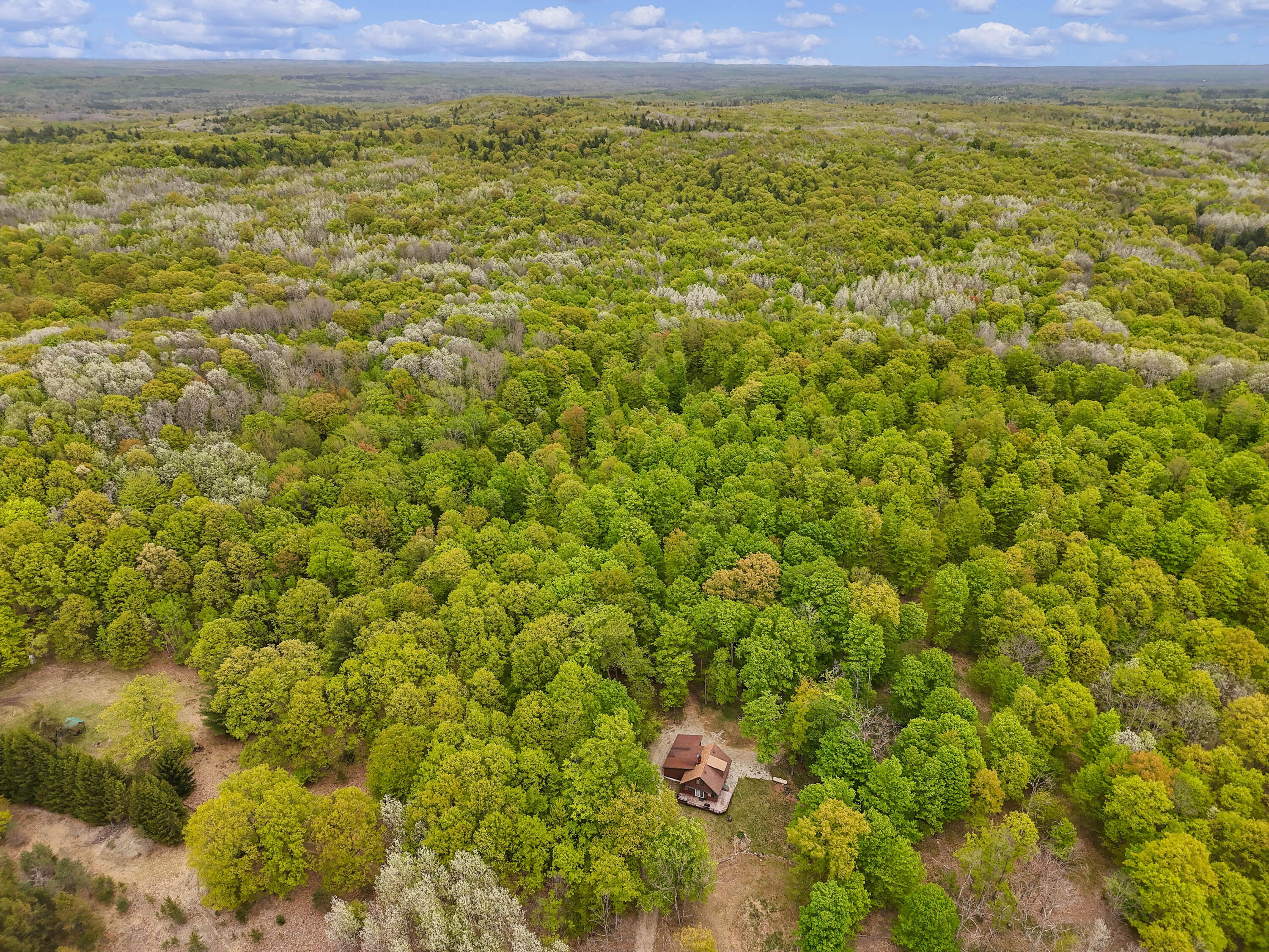 3284 North Flynn Road Luther, MI 49656 - Photo 23 of 30 DJI_20250520150826_0057_D