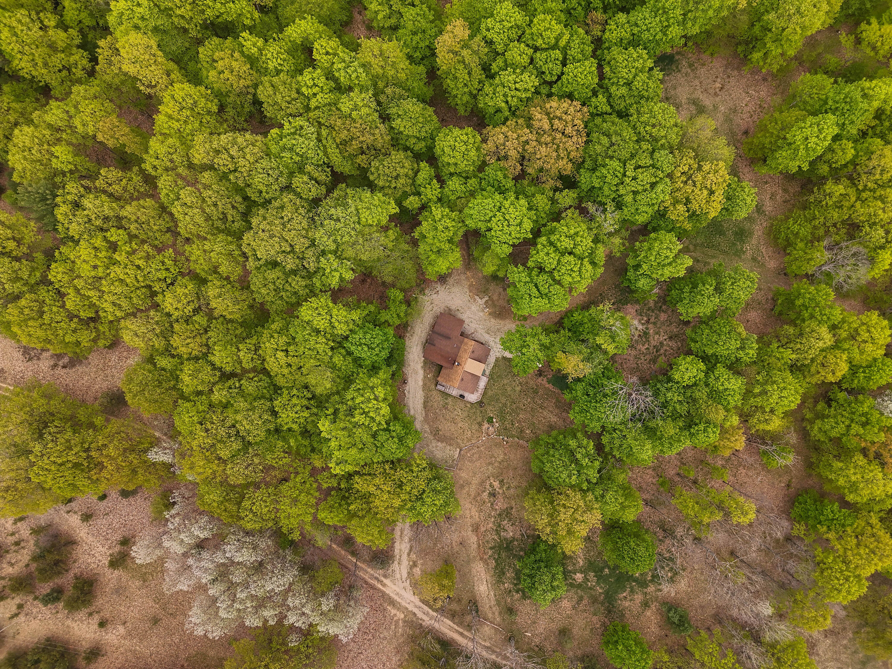 3284 North Flynn Road Luther, MI 49656 - Photo 24 of 30 DJI_20250520150849_0058_D