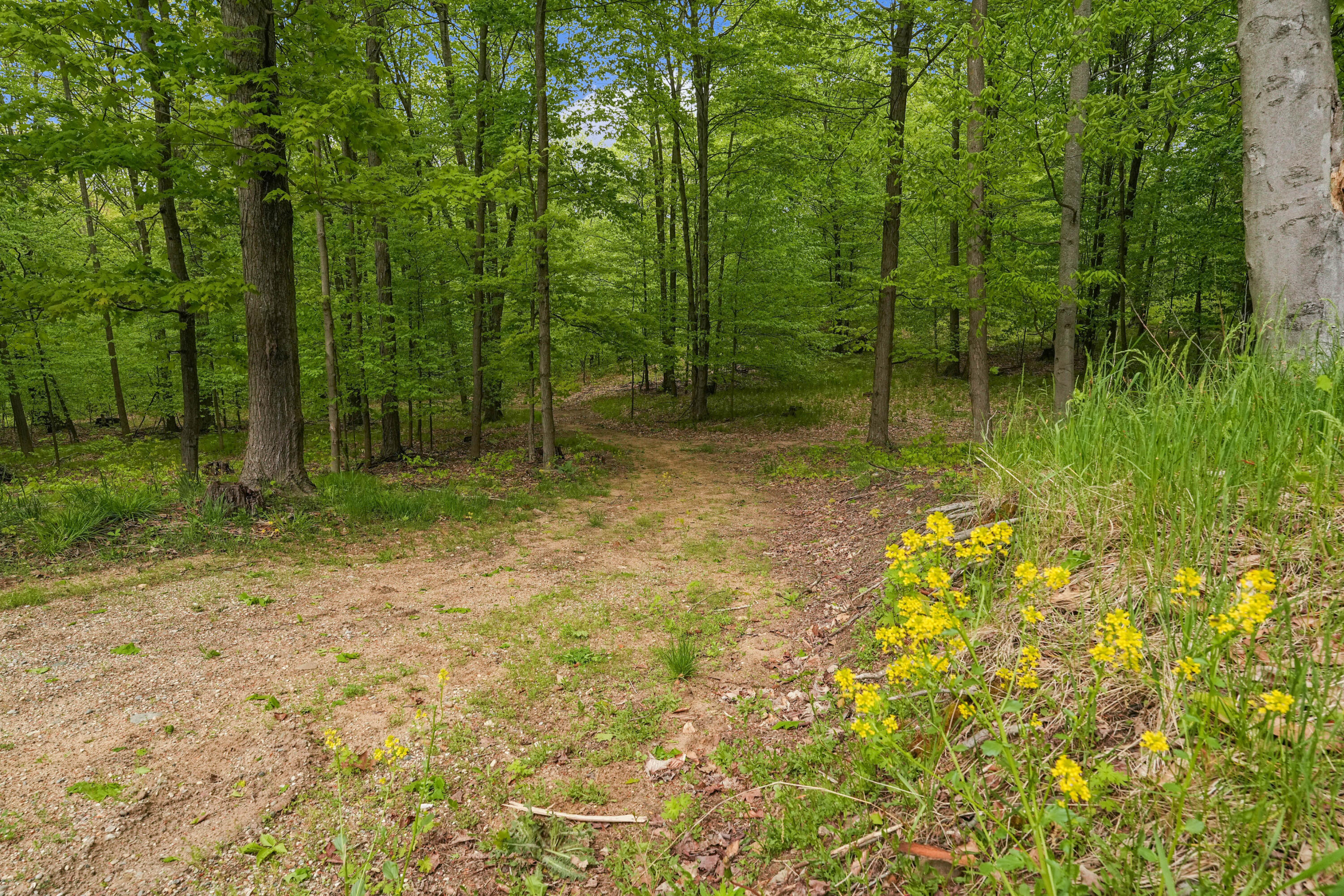 3284 North Flynn Road Luther, MI 49656 - Photo 30 of 30 DSC03523
