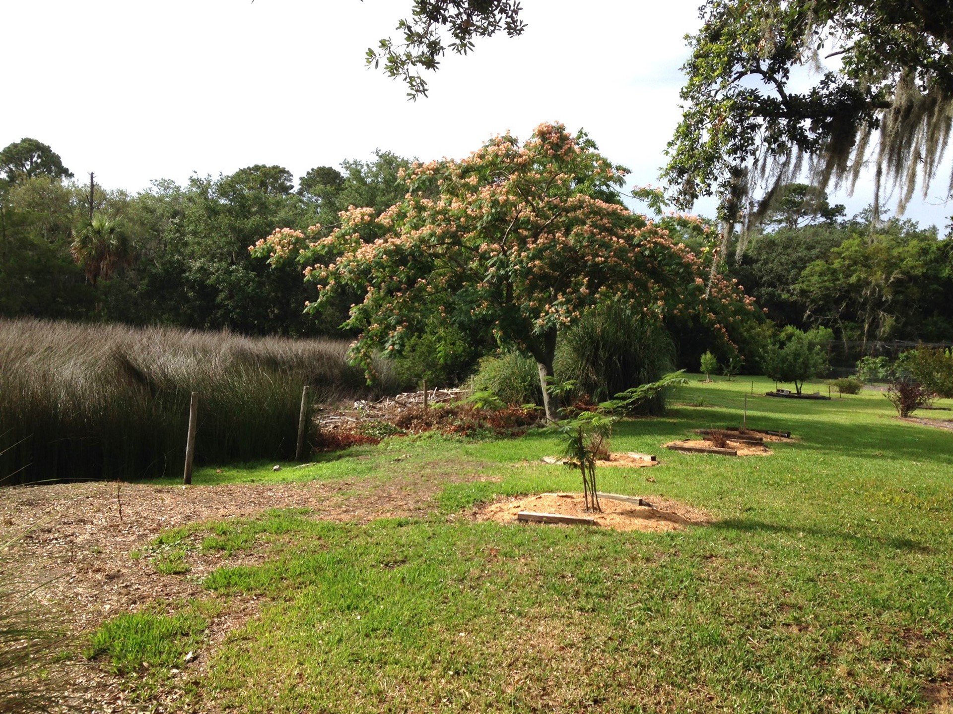 95 West Lawrence Road Fernandina Beach, FL 32034 - Photo 18 of 22