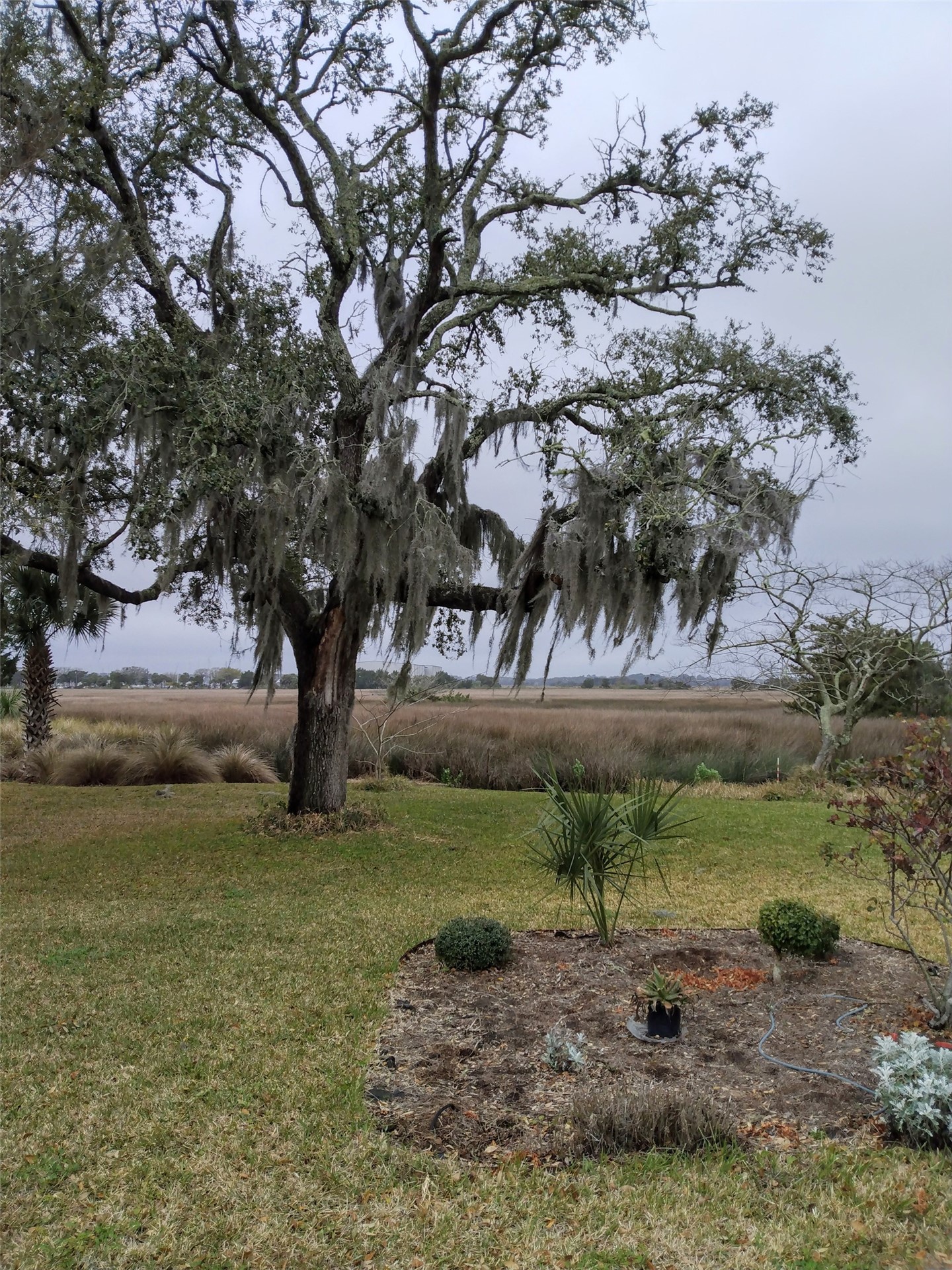 95 West Lawrence Road Fernandina Beach, FL 32034 - Photo 20 of 22