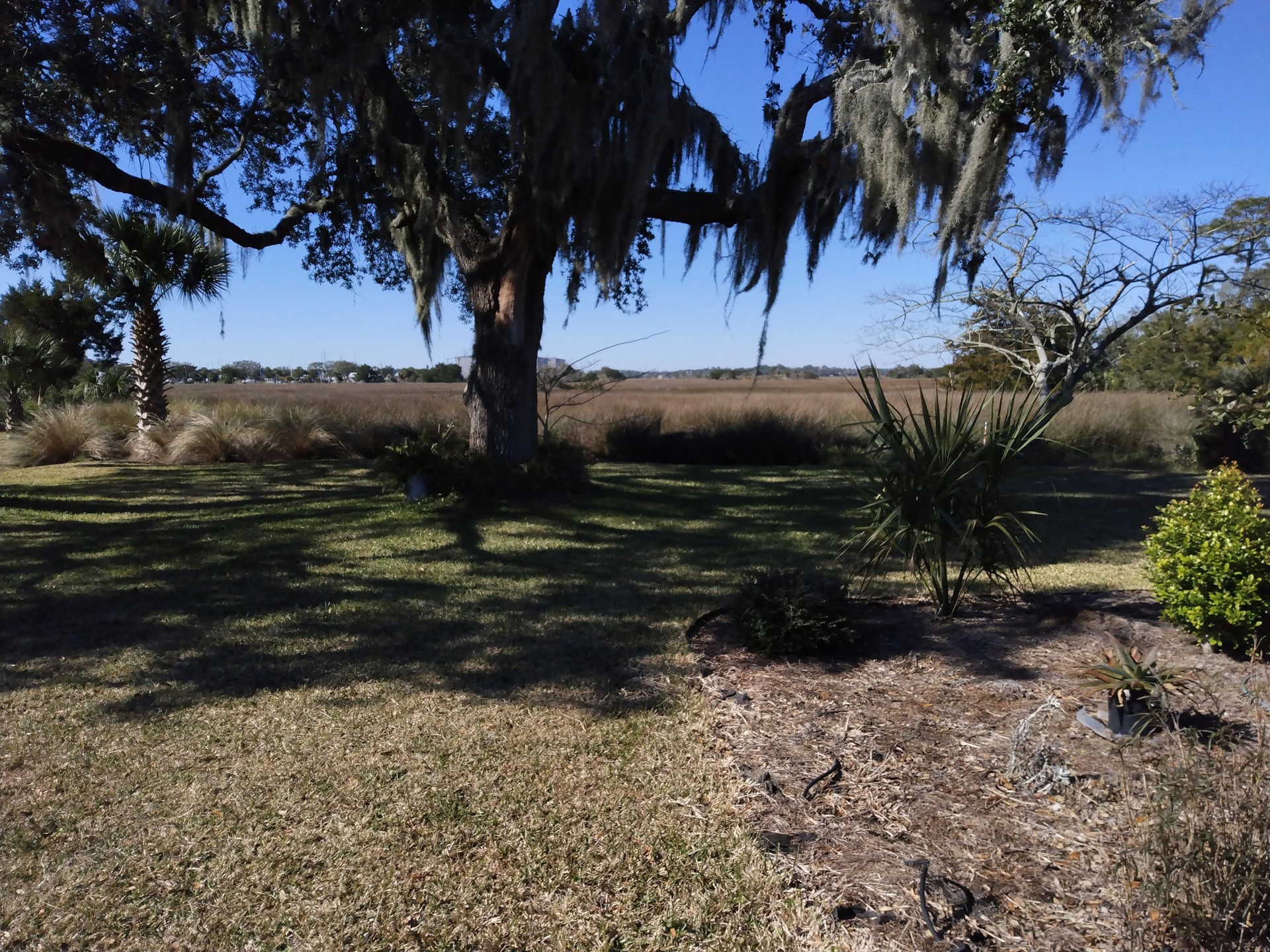 95 West Lawrence Road Fernandina Beach, FL 32034 - Photo 6 of 22