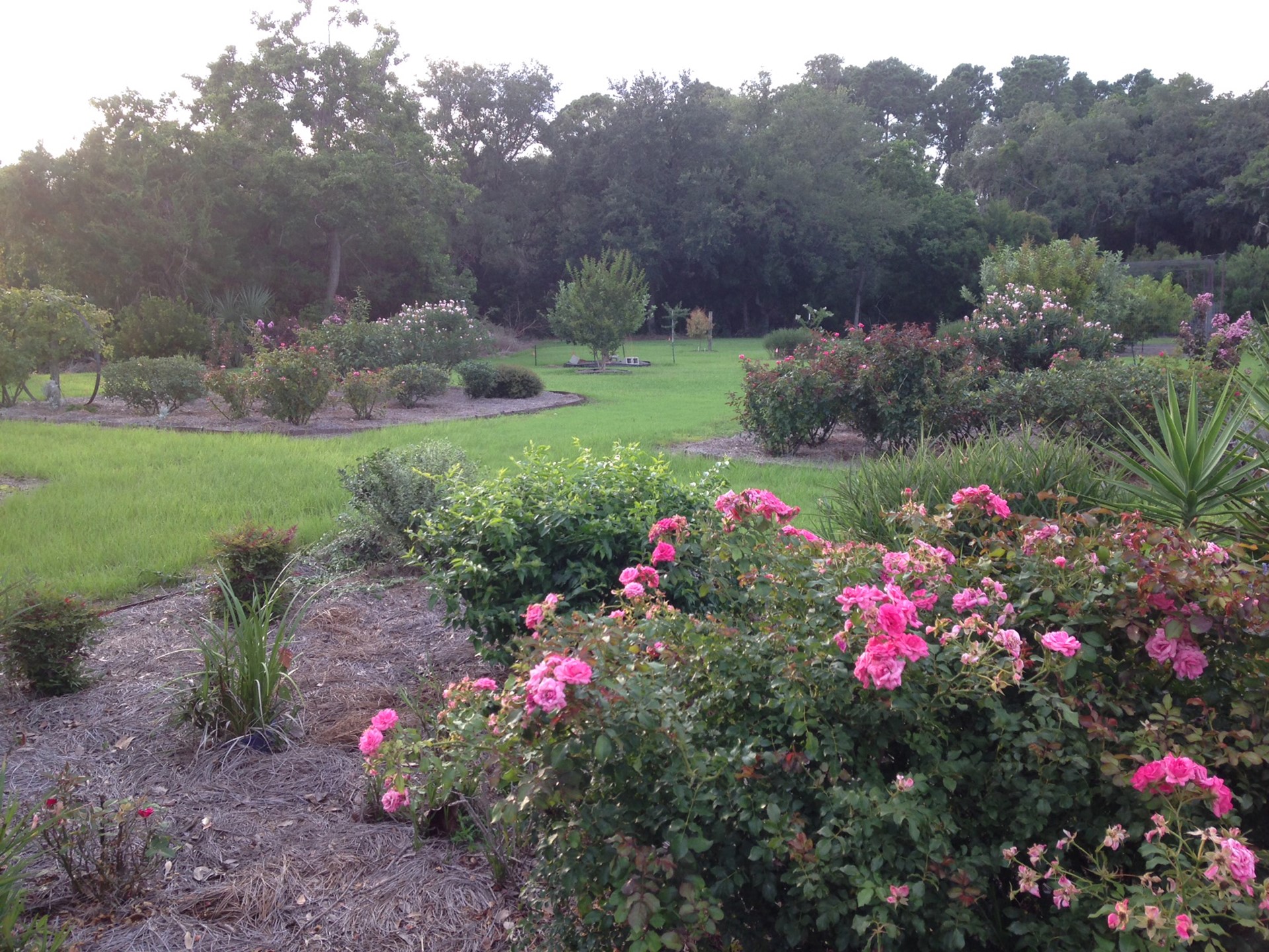 95 West Lawrence Road Fernandina Beach, FL 32034 - Photo 7 of 22