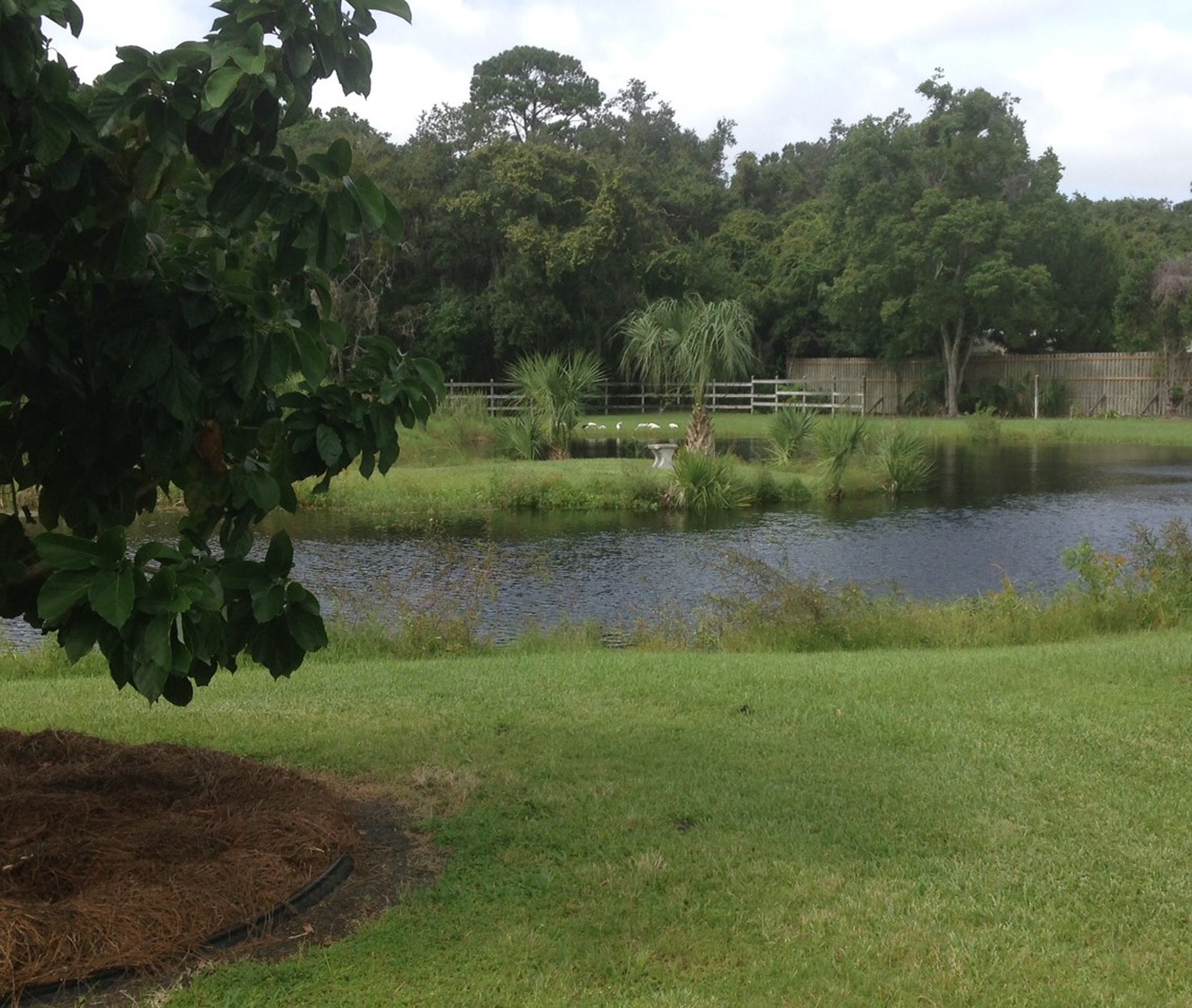 95 West Lawrence Road Fernandina Beach, FL 32034 - Photo 10 of 22