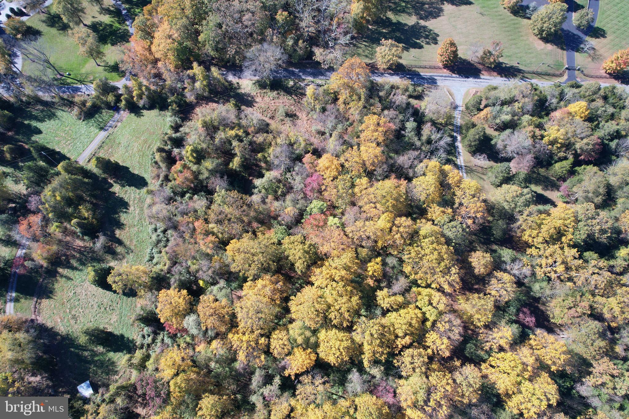 14915 Mount Nebo Road Poolesville, MD 20837 - Photo 10 of 17