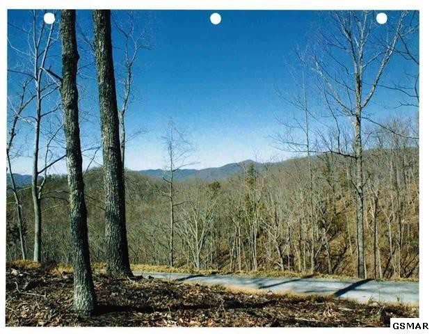 49 Long Rifle Road Walland, TN 37886 - Photo 1 of 1