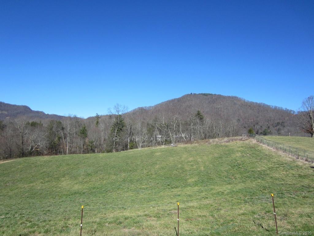 106 Trantham Road Canton, NC 28716 - Photo 5 of 30