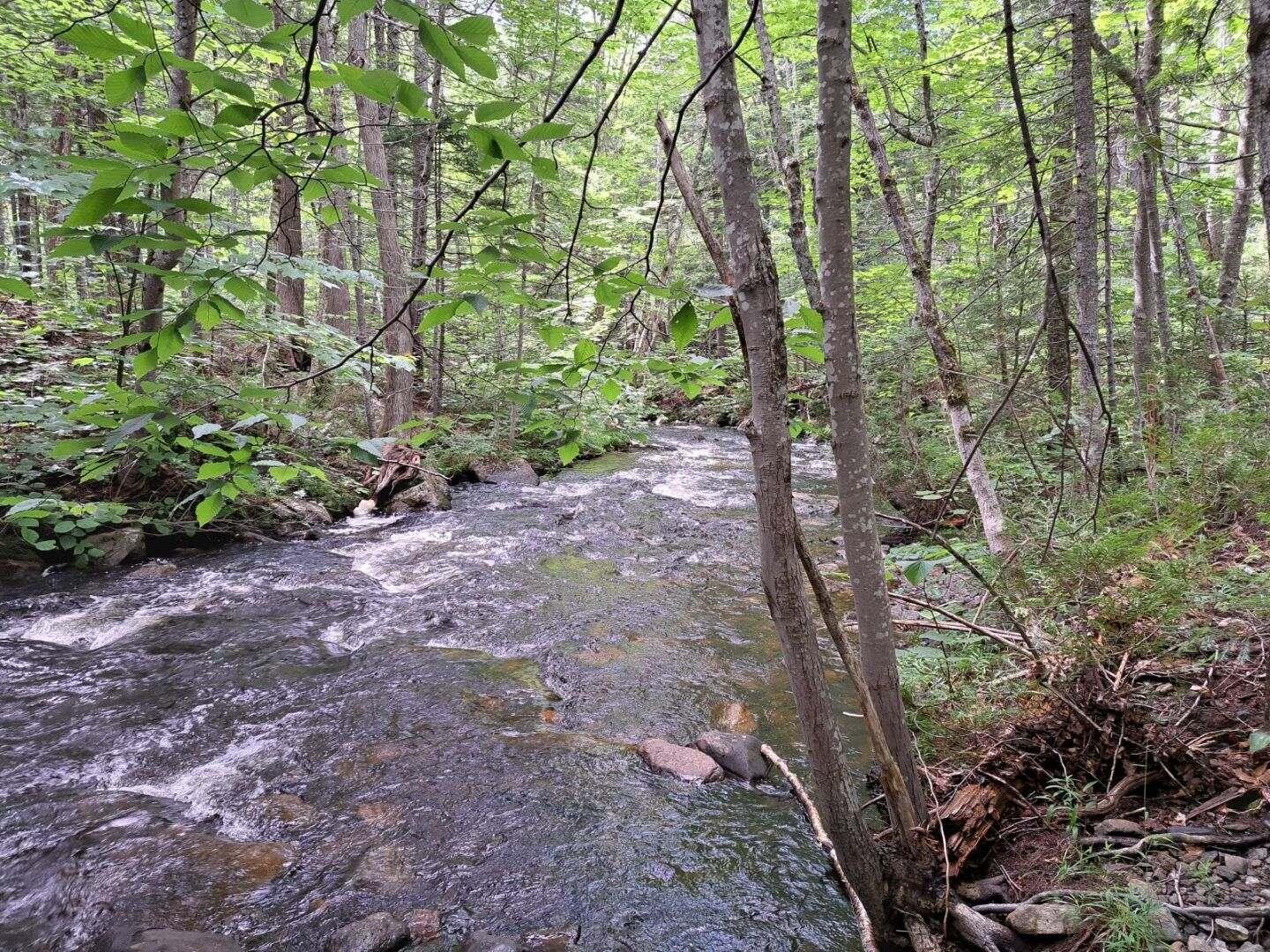 2 Pine Road Sandy River Plt, ME 04970 - Photo 5 of 47 stream 1