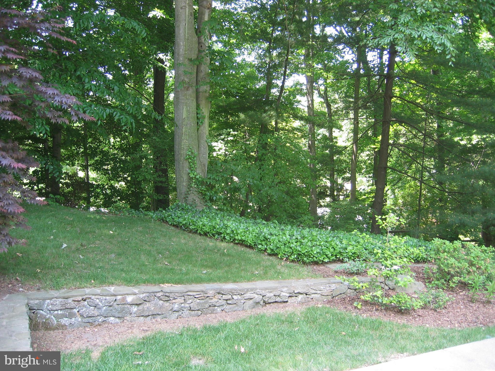 8212 Hawthorne Road Bethesda, MD 20817 - Photo 2 of 11