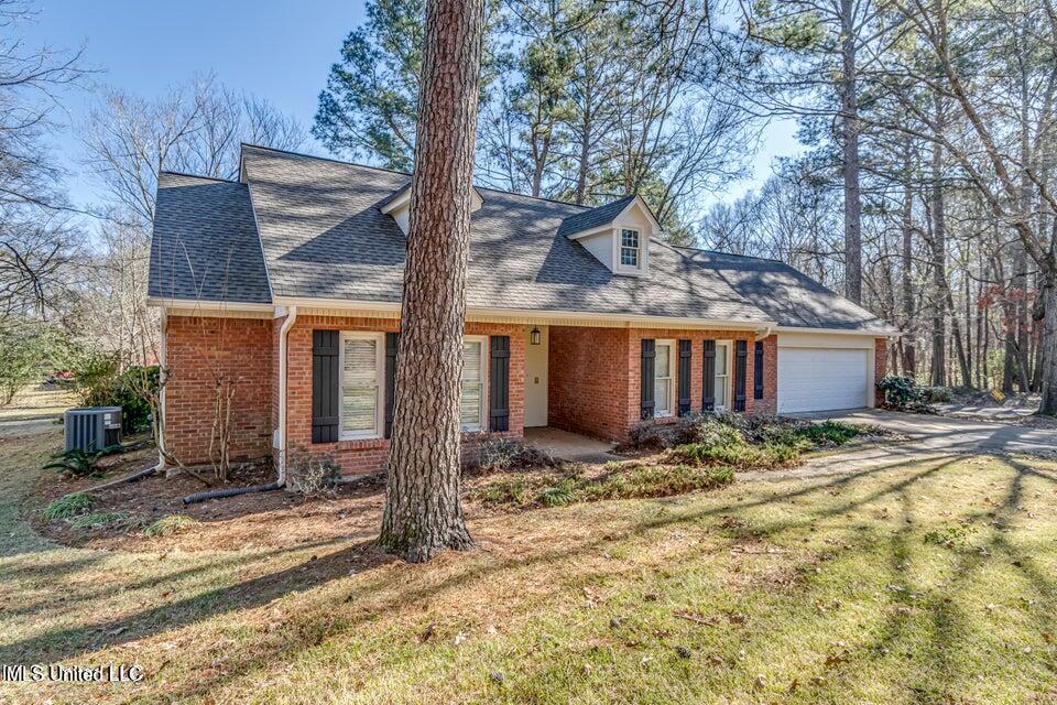 560 Dixton Drive Brandon, MS 39047 - Photo 47 of 58 Dixton 47