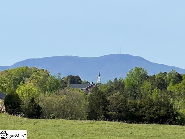 3963 Jordan Road Greer, SC 29651 - Photo 1 of 30