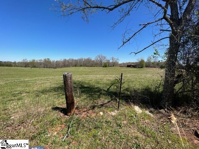 3963 Jordan Road Greer, SC 29651 - Photo 11 of 30