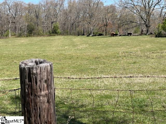 3963 Jordan Road Greer, SC 29651 - Photo 12 of 30
