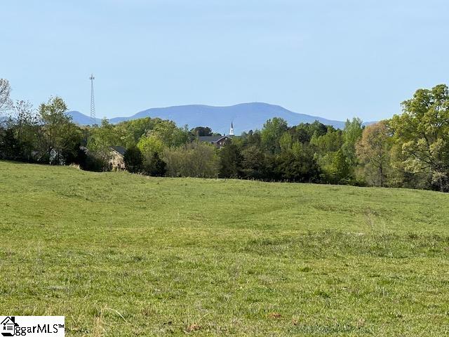 3963 Jordan Road Greer, SC 29651 - Photo 21 of 30