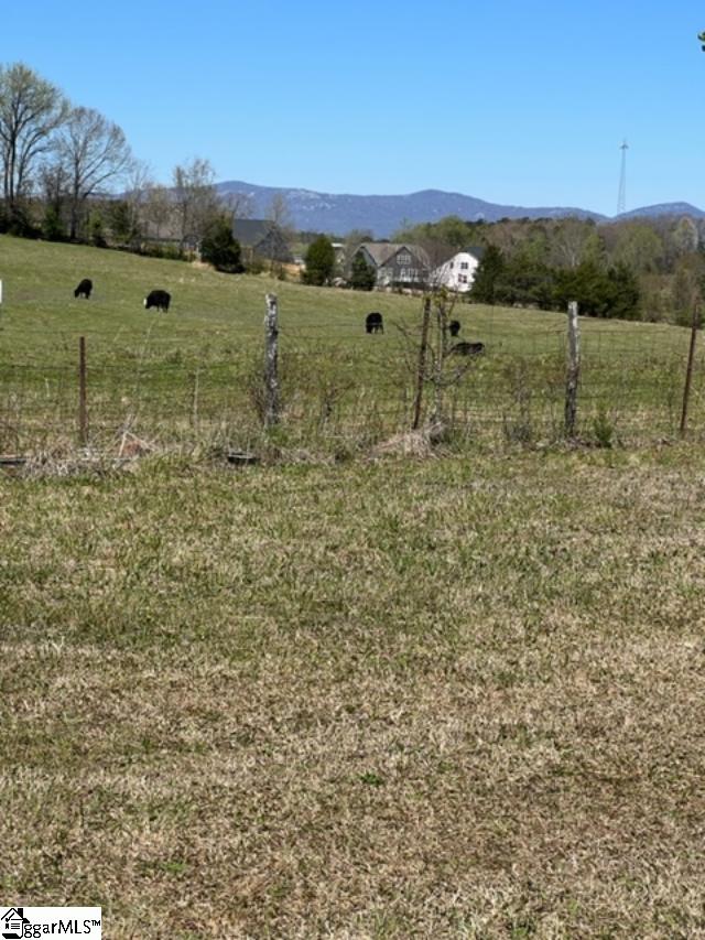3963 Jordan Road Greer, SC 29651 - Photo 22 of 30