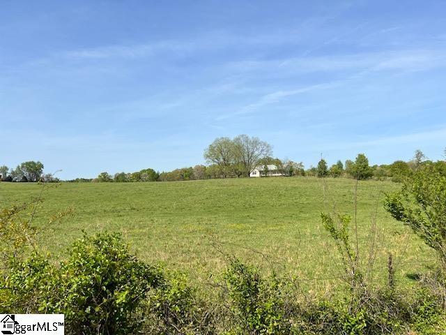 3963 Jordan Road Greer, SC 29651 - Photo 23 of 30