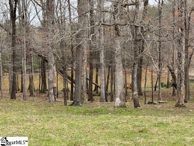 3963 Jordan Road Greer, SC 29651 - Photo 28 of 30