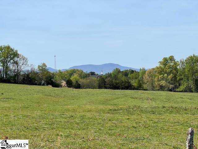 3963 Jordan Road Greer, SC 29651 - Photo 30 of 30