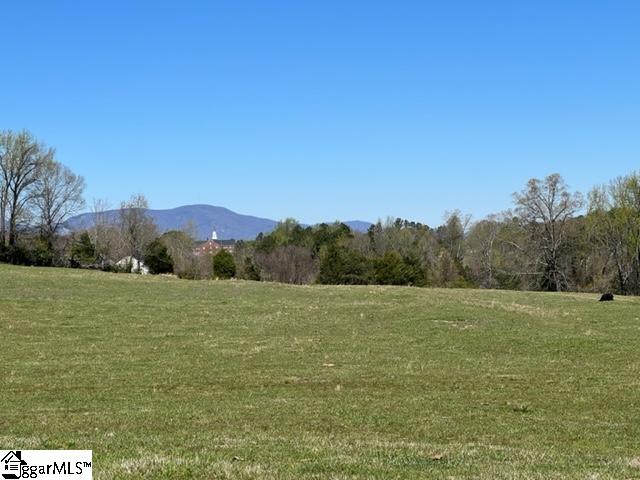 3963 Jordan Road Greer, SC 29651 - Photo 3 of 30