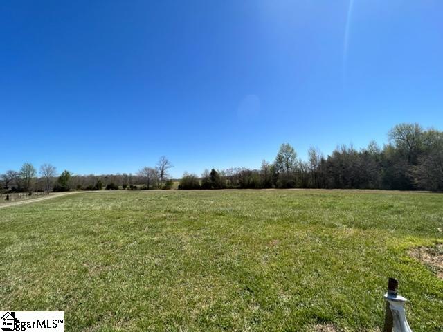 3963 Jordan Road Greer, SC 29651 - Photo 4 of 30