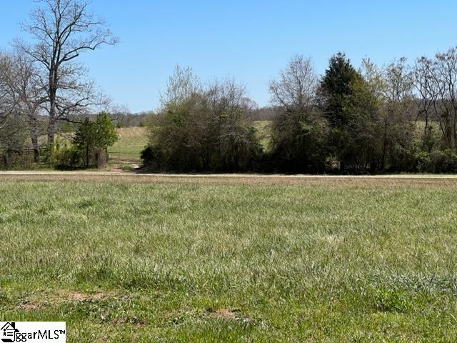 3963 Jordan Road Greer, SC 29651 - Photo 5 of 30