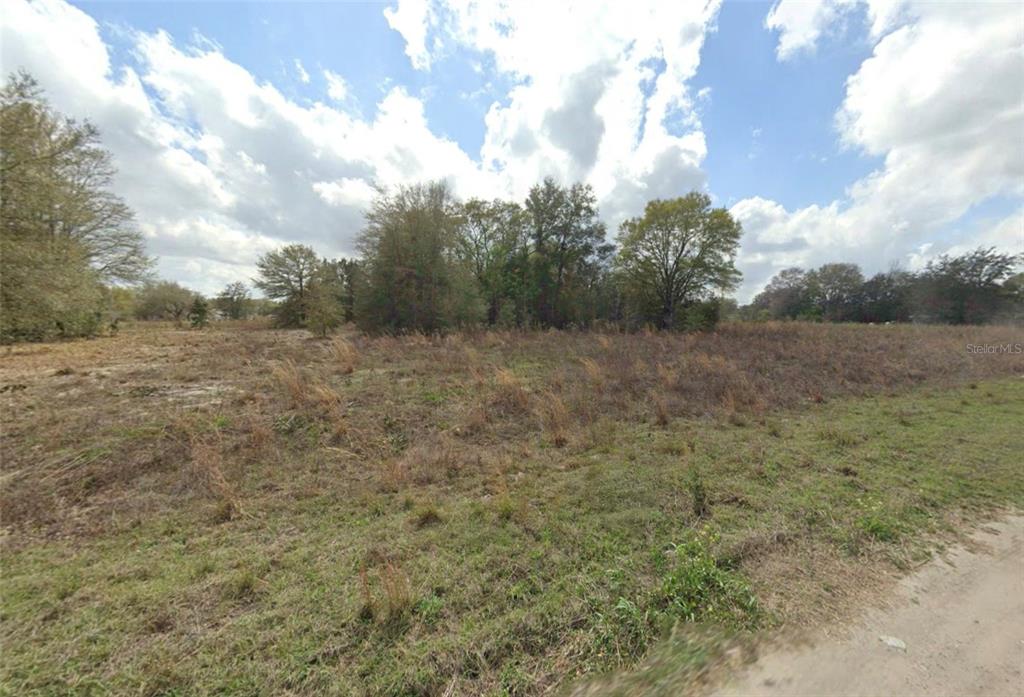 Tbd Southwest 112th Place Dunnellon, FL 34432 - Photo 4 of 4