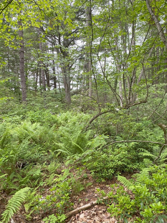 0 I I Capen Road Spencer, MA 01562 - Photo 5 of 7 Gallery Image 5