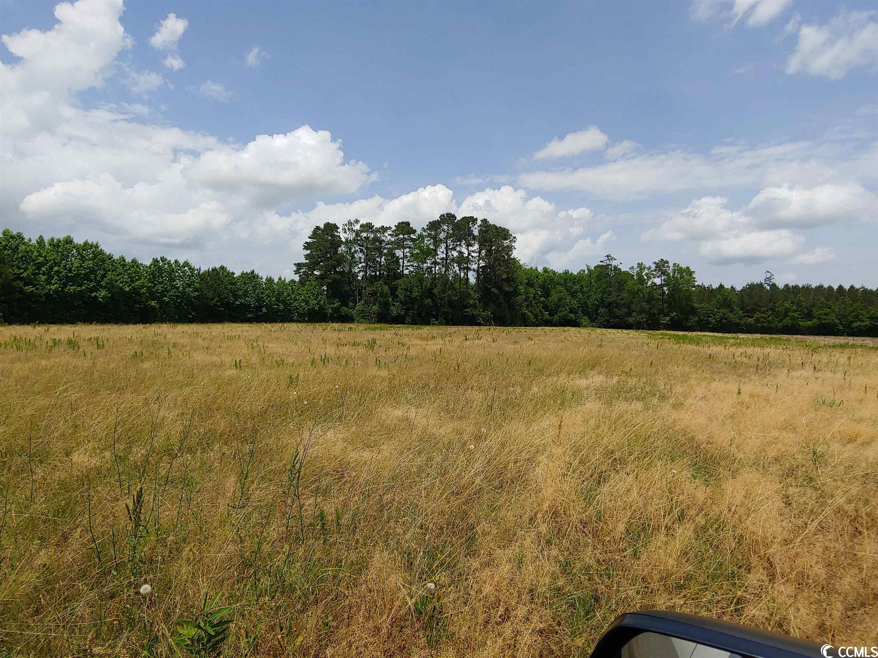 2753 Hagan Road Loris, SC 29569 - Photo 4 of 6 Gallery Image 4