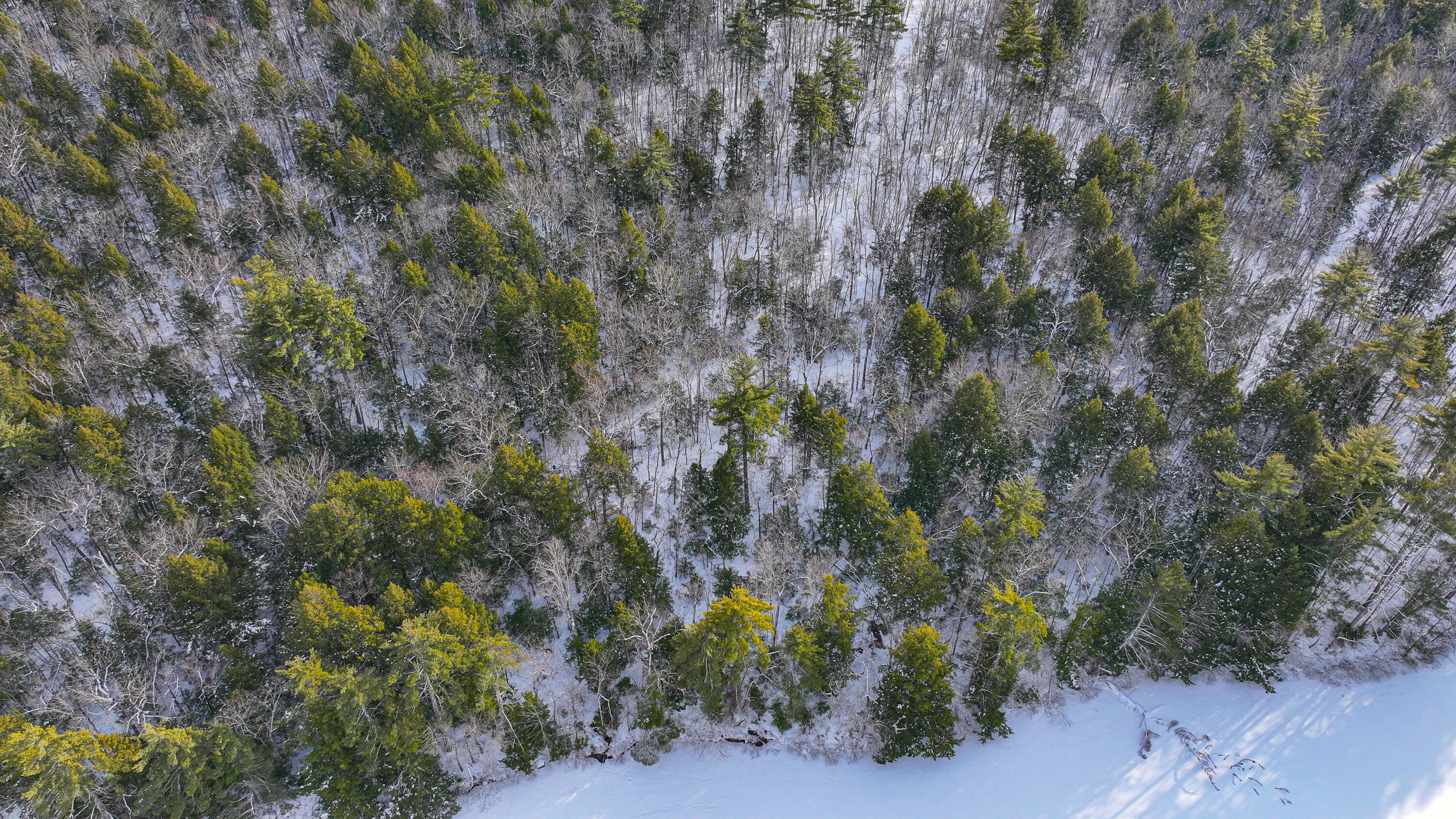 25-201 Two Ponds Road Bridgton, ME 04009 - Photo 17 of 18 two pond road-4