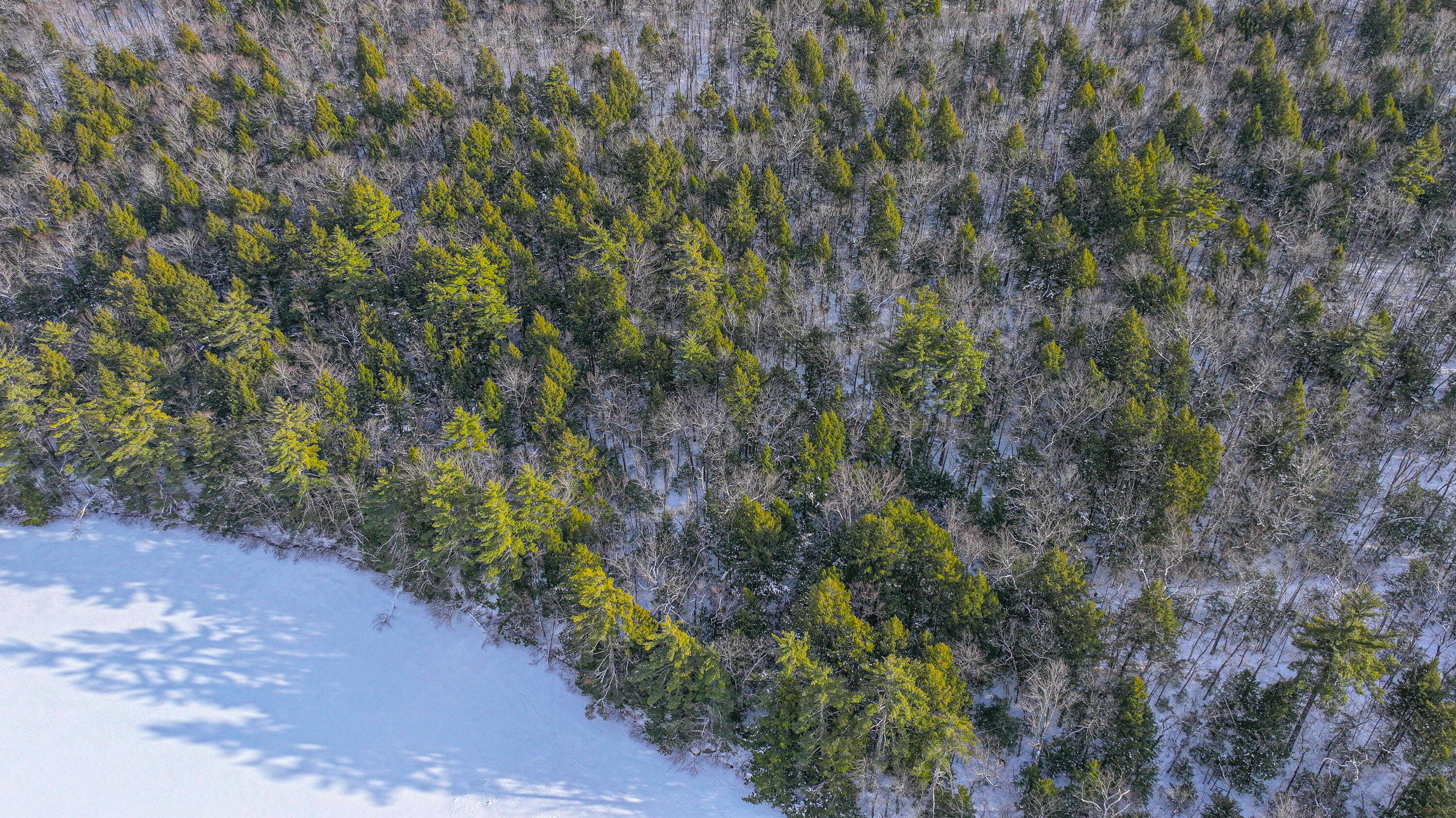 25-201 Two Ponds Road Bridgton, ME 04009 - Photo 7 of 18 two pond road-6