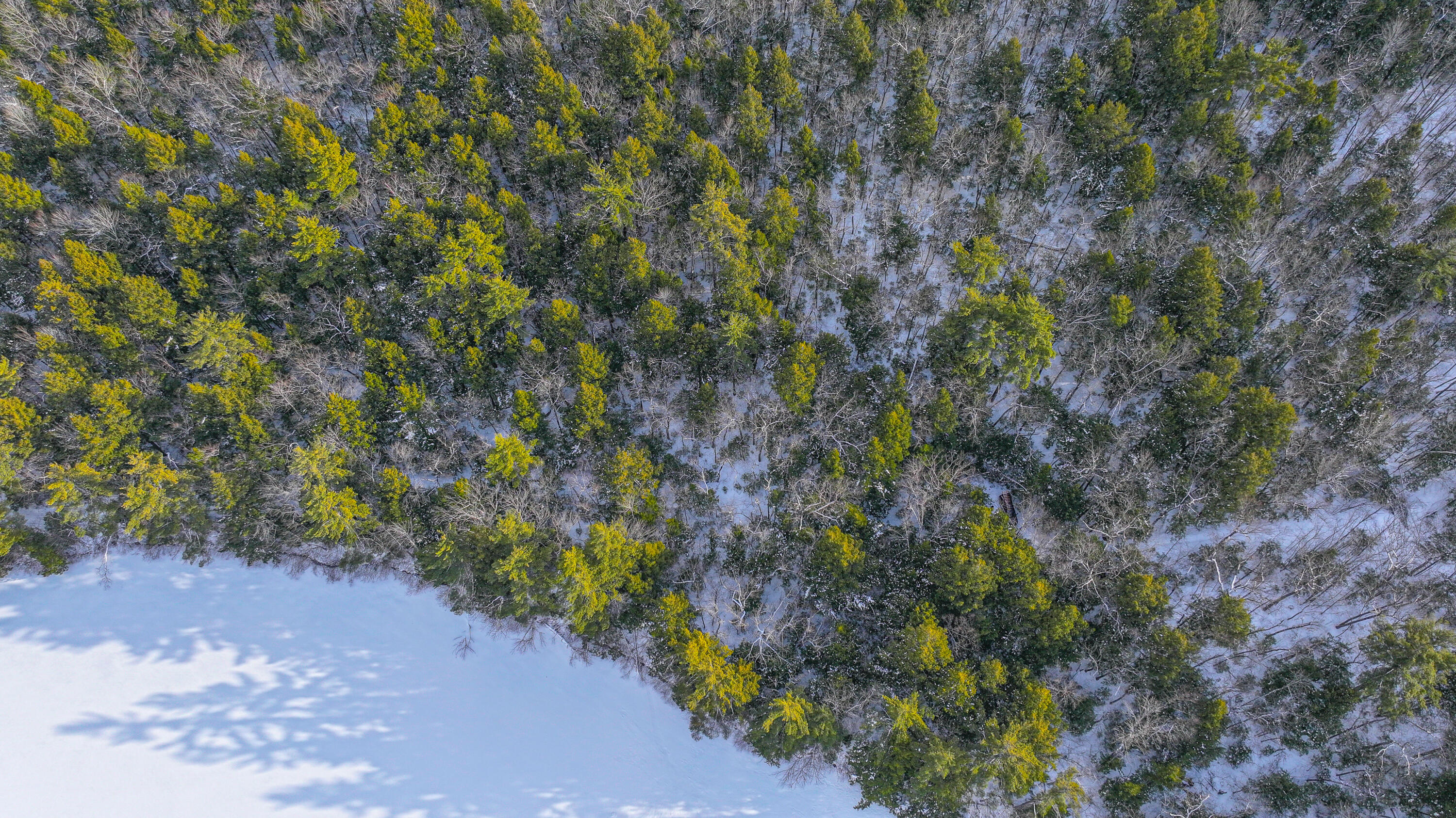 25-201 Two Ponds Road Bridgton, ME 04009 - Photo 8 of 18 two pond road-9