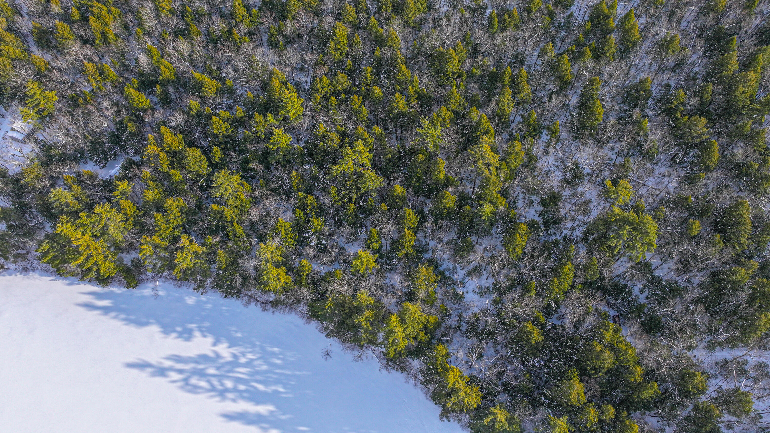 25-201 Two Ponds Road Bridgton, ME 04009 - Photo 10 of 18 two pond road-11