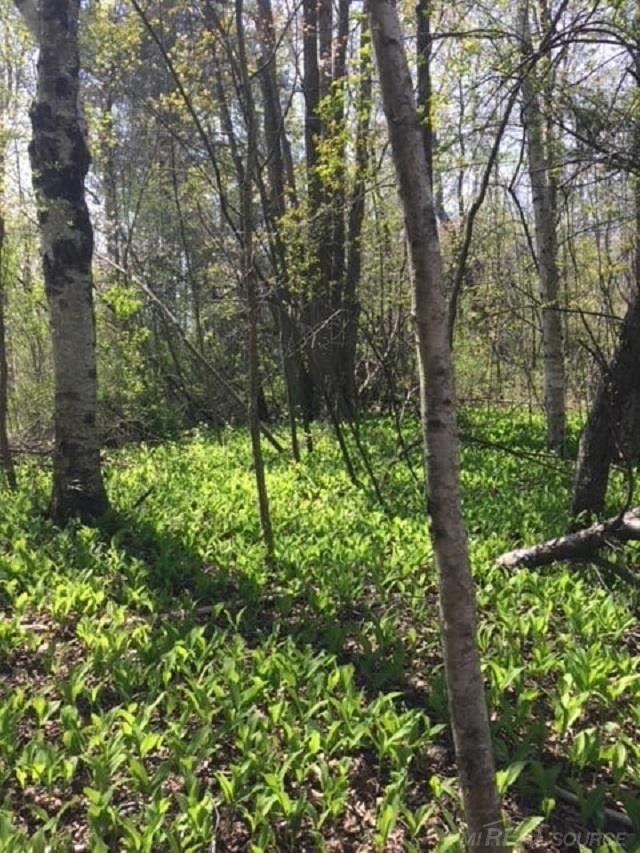 Vl East Snover Road Port Sanilac, MI 48469 - Photo 6 of 10 Gallery Image 6