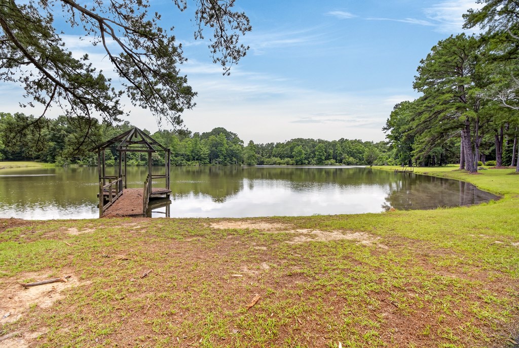 1071 Mose Ware Road Ozark, AL 36360 - Photo 67 of 72
