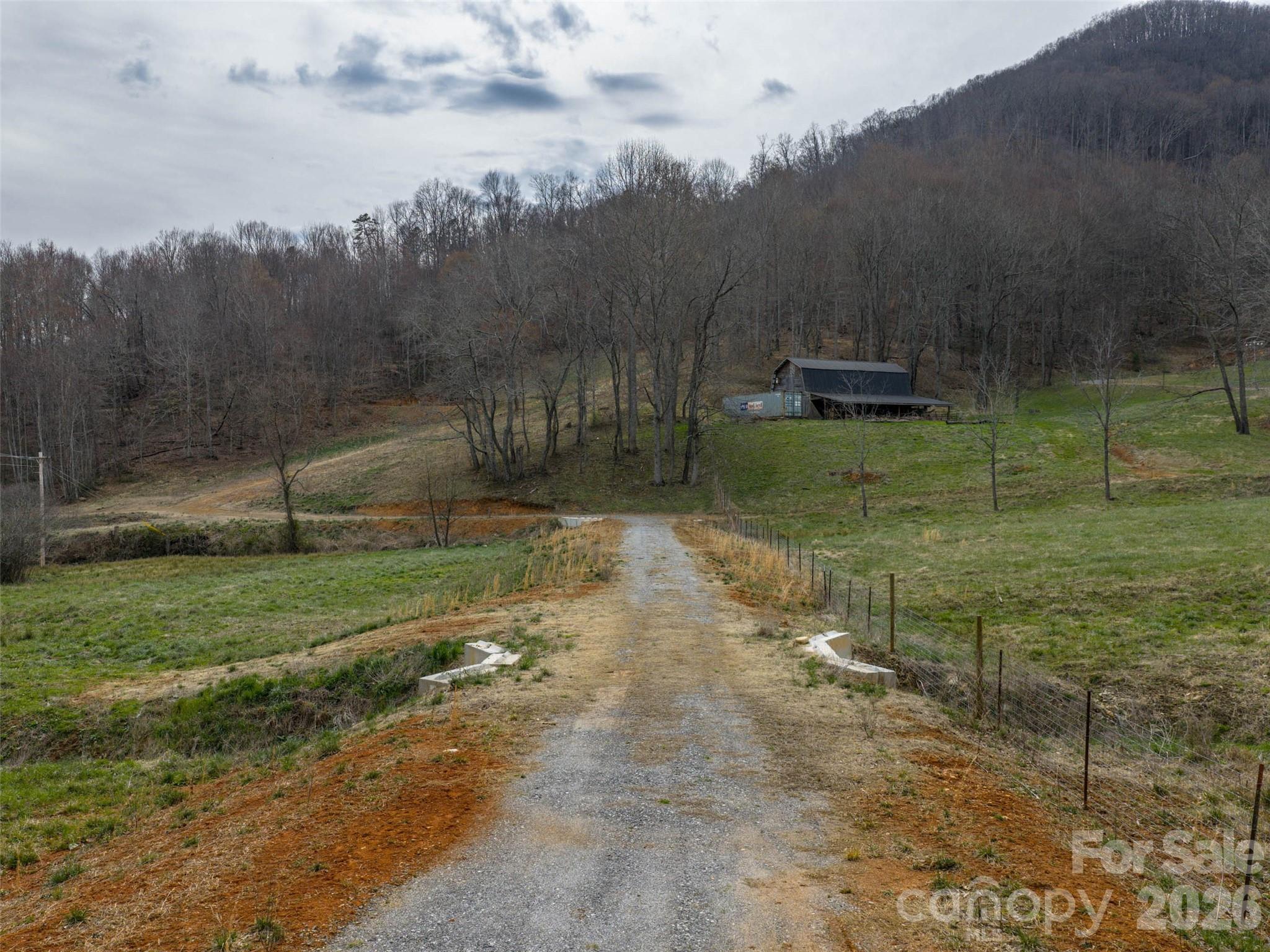 1433 Crabtree Mountain Road Clyde, NC 28721 - Photo 3 of 10 a view of a backyard
