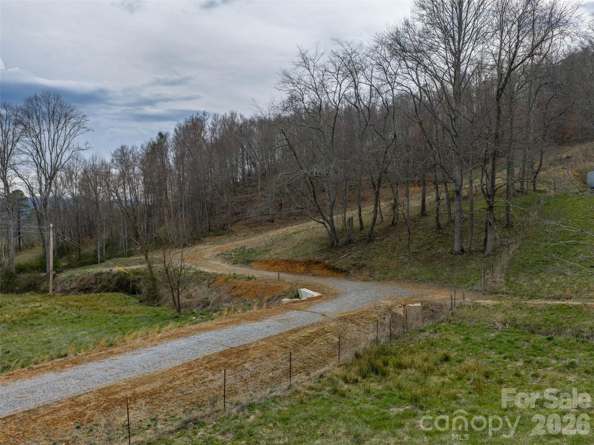 1433 Crabtree Mountain Road Clyde, NC 28721 - Photo 4 of 10 a view of a backyard
