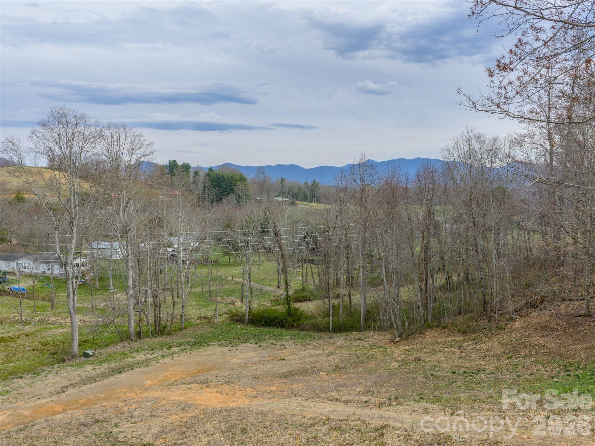 1433 Crabtree Mountain Road Clyde, NC 28721 - Photo 7 of 10 a view of a yard with a large trees