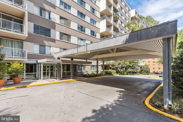 a view of park with tree s