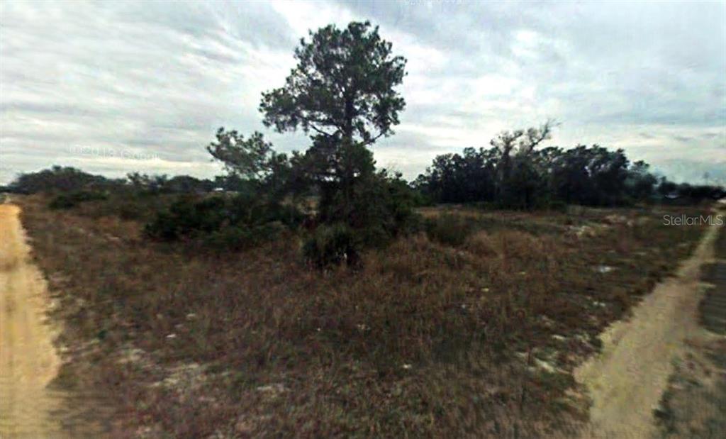 2885 West Ingersol Road Avon Park, FL 33825 - Photo 2 of 3 a view of a field with trees in the background