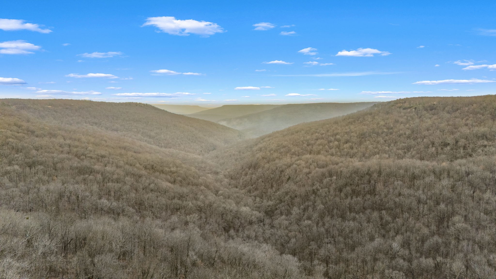 2425 Westlake Avenue Monteagle, TN 37356 - Photo 62 of 75