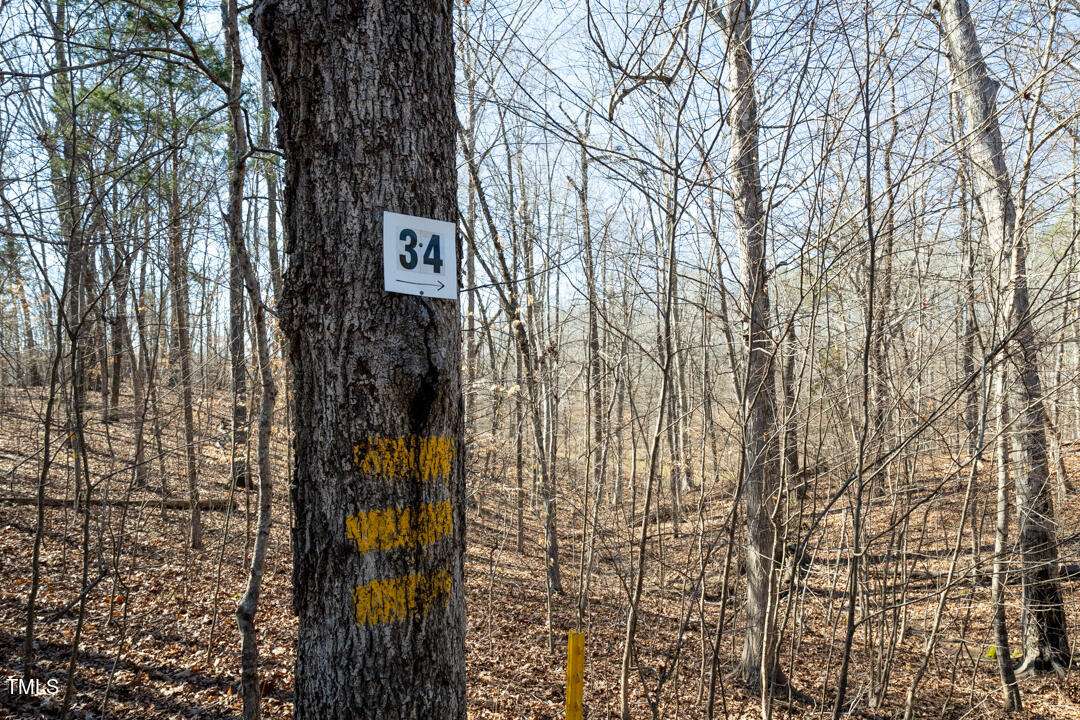 34 Summer Oak Drive Roxboro, NC 27574 - Photo 7 of 10 a view of a street with trees